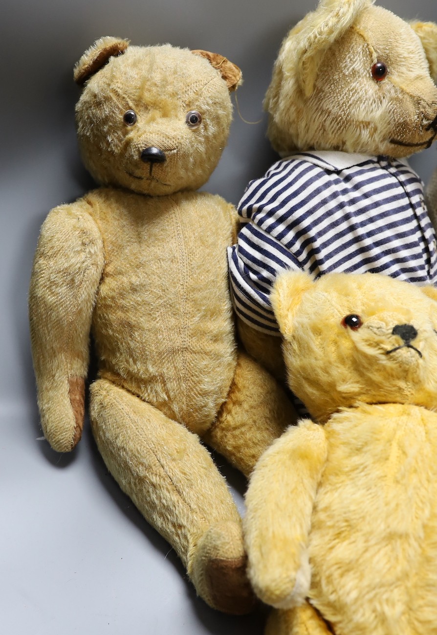 Five 1960's Bears, One German, largest 53cm